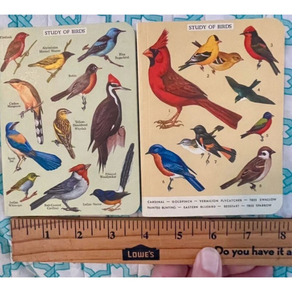 Birding Journals 4”x5.5” Set of Two